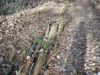 Mountain Man Road Maintenance Image